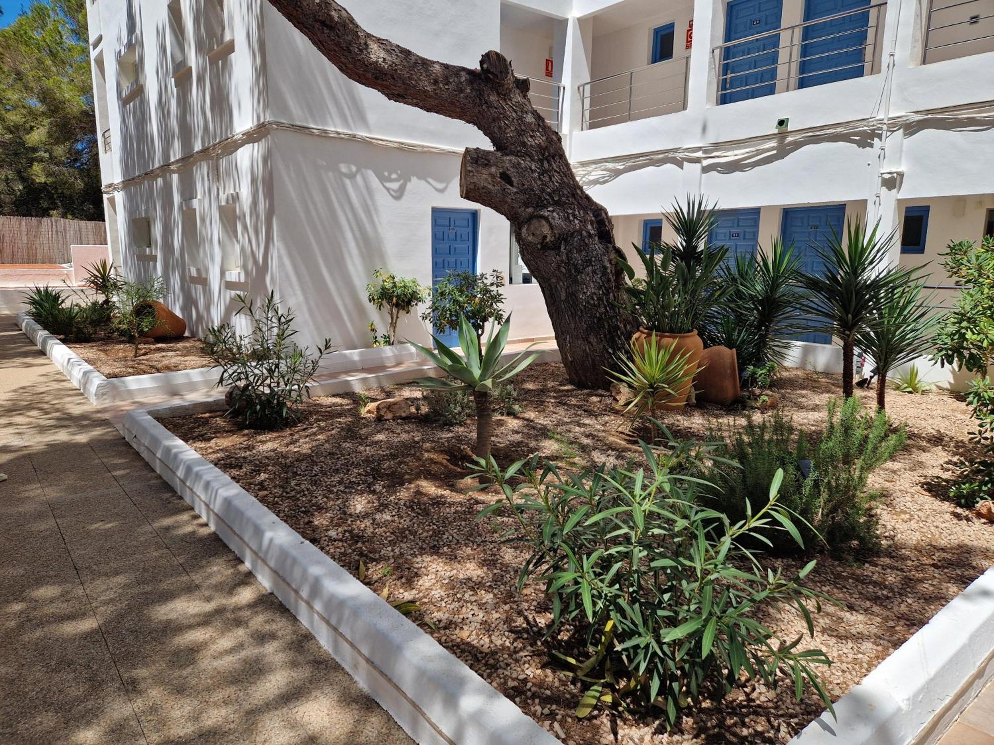 Apartamentos Costamar II Es Pujols Εξωτερικό φωτογραφία